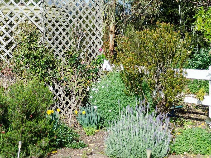 6 Love Avenue, Strathalbyn SA 5255