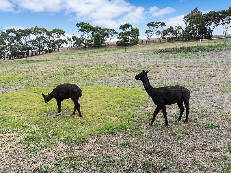 142 McHarg Creek Road, Ashbourne SA 5157