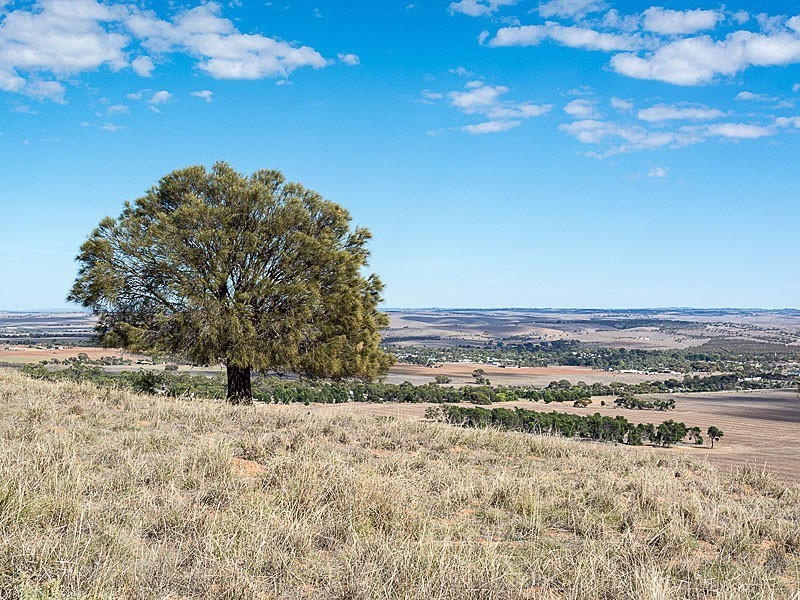 59 Highland Road, Callington SA 5254