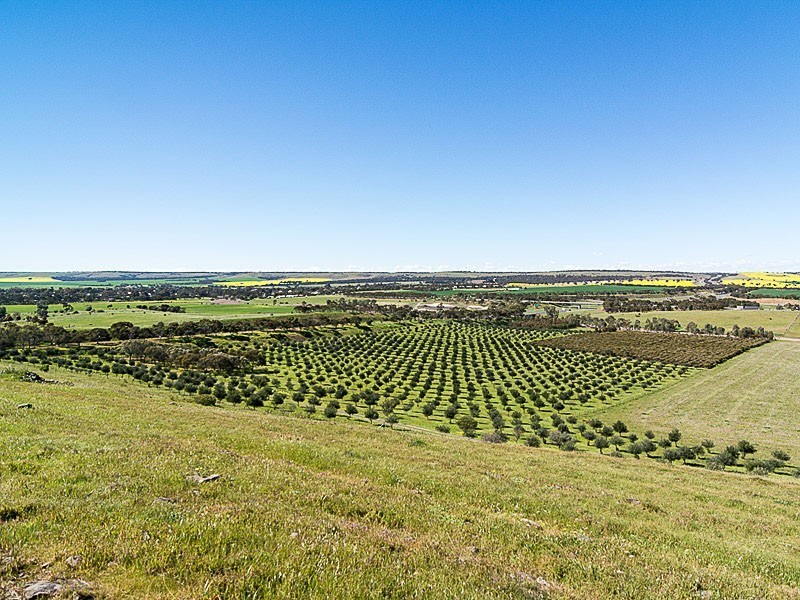 56 Samuels Road, Callington SA 5254