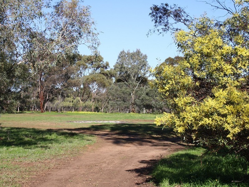 63 Pepper Tree Lane, Hartley SA 5255