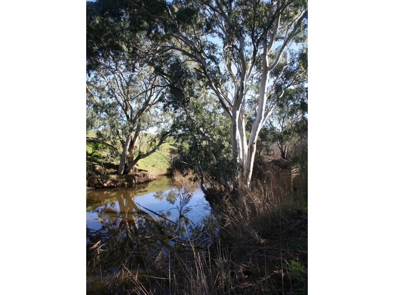 63 Pepper Tree Lane, Hartley SA 5255