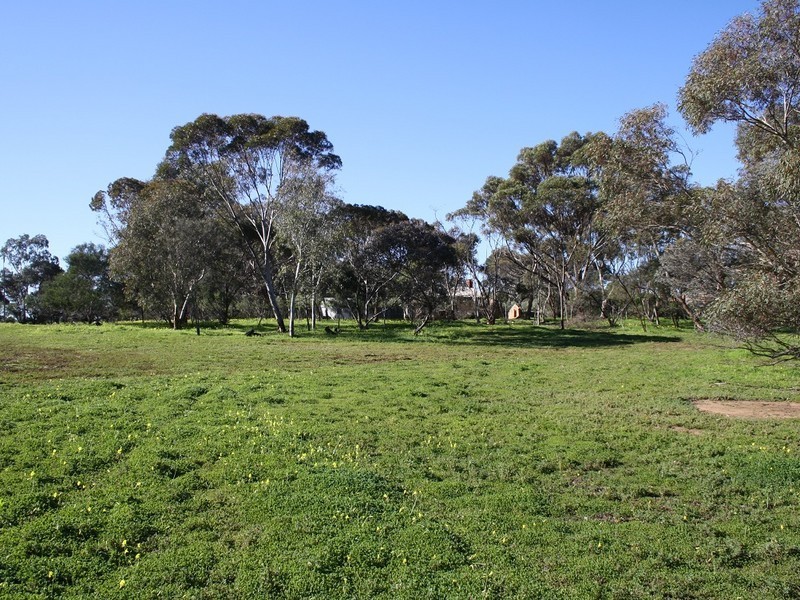 63 Pepper Tree Lane, Hartley SA 5255