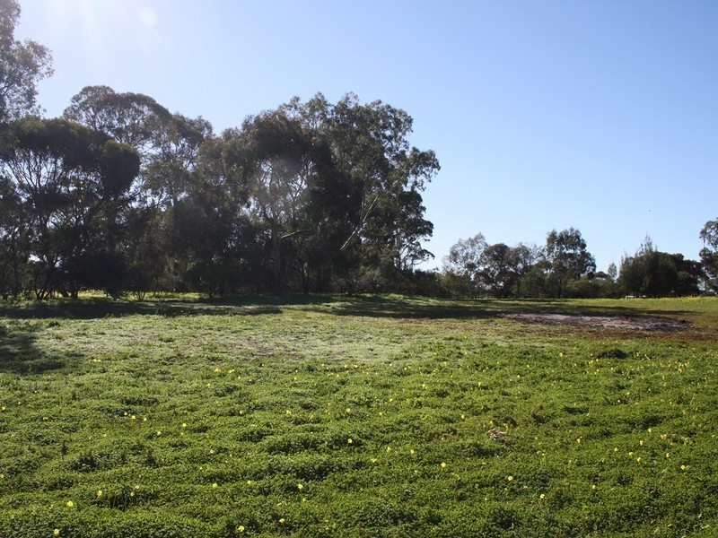 63 Pepper Tree Lane, Hartley SA 5255