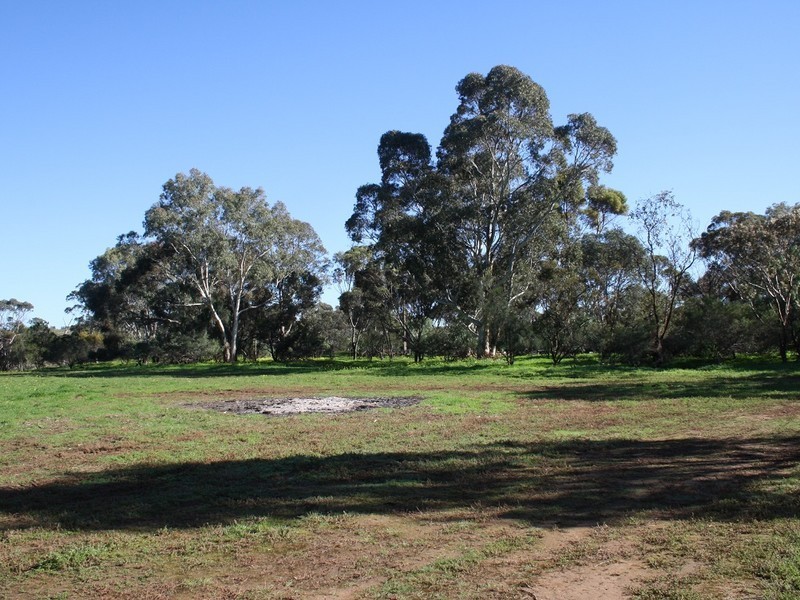 63 Pepper Tree Lane, Hartley SA 5255