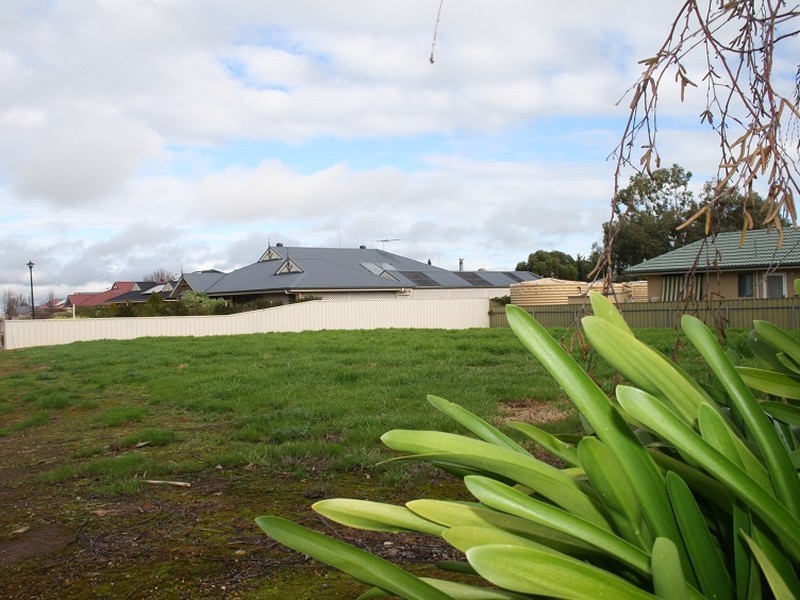 3 Blue Court, Strathalbyn SA 5255