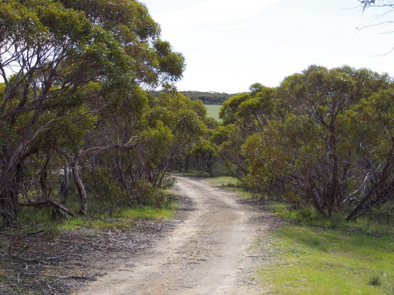 Sec 256 Chaunceys Line Road, Hartley SA 5255