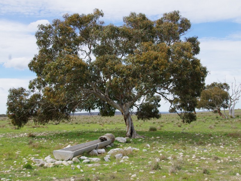 Sec 256 Chaunceys Line Road, Hartley SA 5255