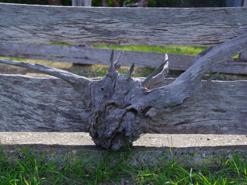 Sec 256 Chaunceys Line Road, Hartley SA 5255