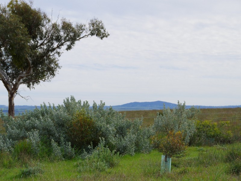 Sec 256 Chaunceys Line Road, Hartley SA 5255