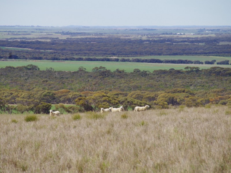 Sec 256 Chaunceys Line Road, Hartley SA 5255