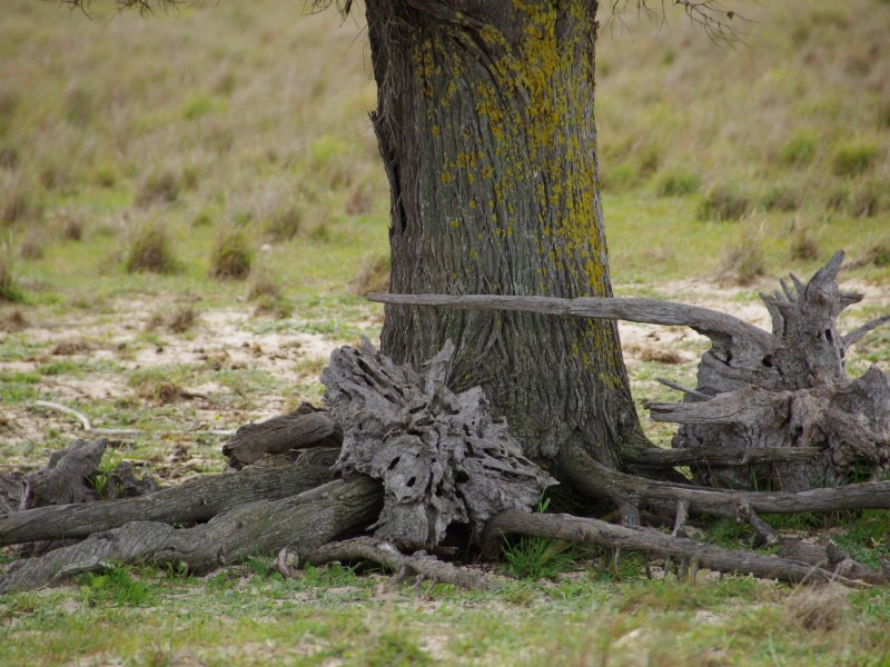 Sec 256 Chaunceys Line Road, Hartley SA 5255