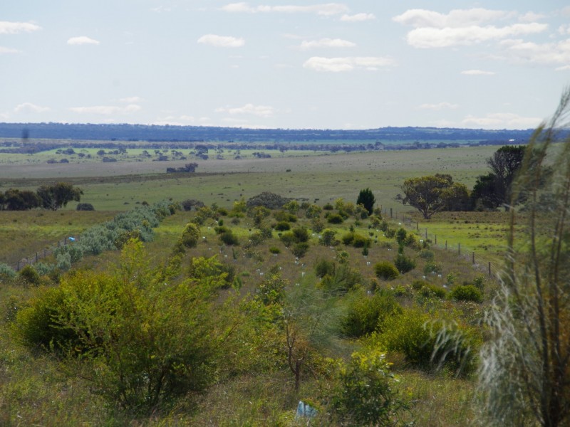 Sec 256 Chaunceys Line Road, Hartley SA 5255