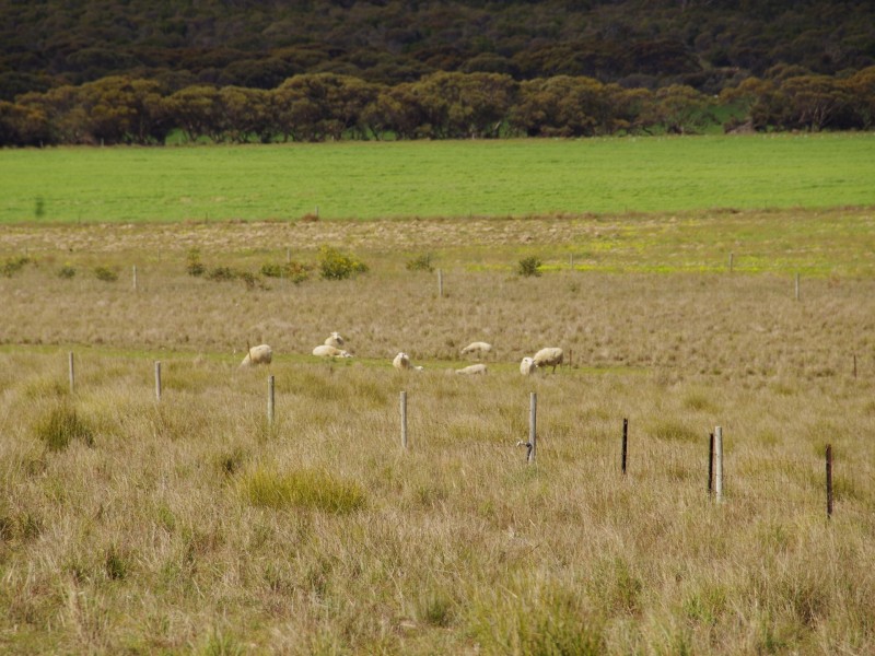 Sec 256 Chaunceys Line Road, Hartley SA 5255