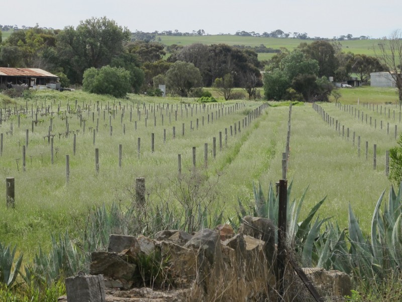 62 Chaunceys Line Road, Hartley SA 5255