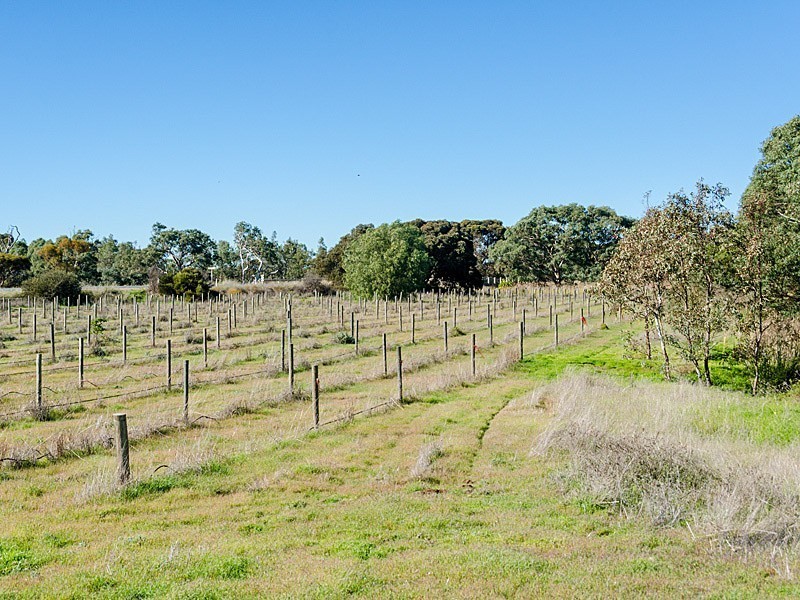 62 Chaunceys Line Road, Hartley SA 5255