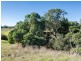 62 Chaunceys Line Road, Hartley SA 5255
