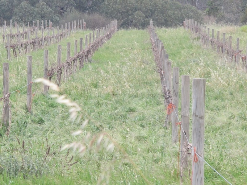 62 Chaunceys Line Road, Hartley SA 5255