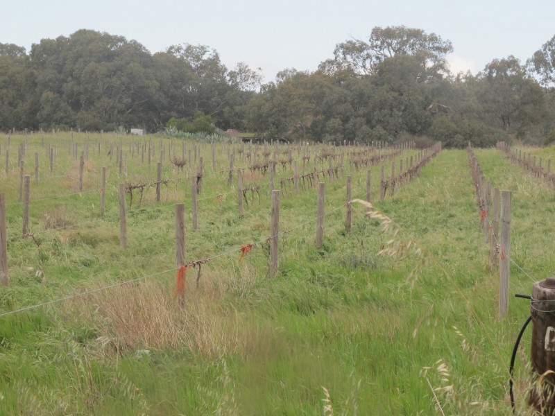 62 Chaunceys Line Road, Hartley SA 5255