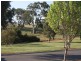 41 St Andrews Drive, Strathalbyn SA 5255