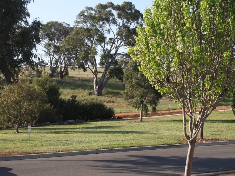 41 St Andrews Drive, Strathalbyn SA 5255