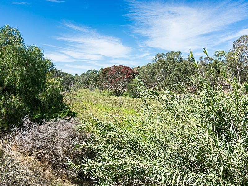 1 Langhorne Creek Road, Strathalbyn SA 5255