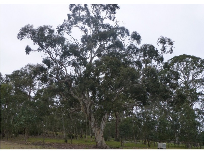 Lot 36 Bull Creek Road, Ashbourne SA 5157