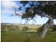 Lots 3, 4 Bull Creek Road, Ashbourne SA 5157