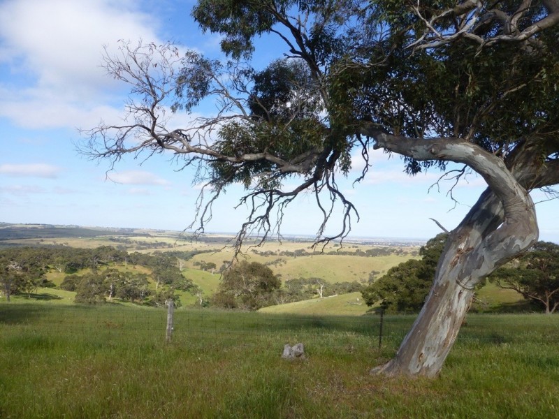 Lots 3, 4 Bull Creek Road, Ashbourne SA 5157
