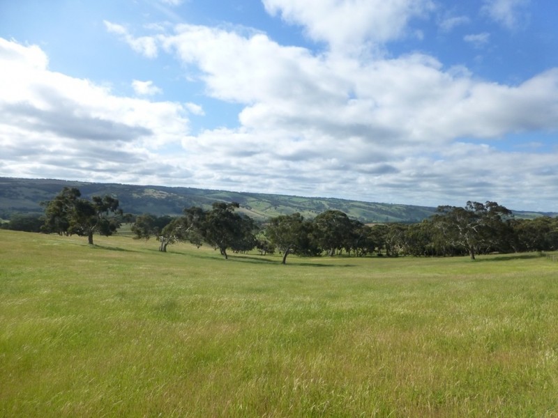 Lots 3, 4 Bull Creek Road, Ashbourne SA 5157