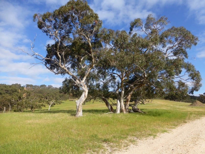 Lots 3, 4 Bull Creek Road, Ashbourne SA 5157