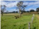 Lots 3, 4 Bull Creek Road, Ashbourne SA 5157