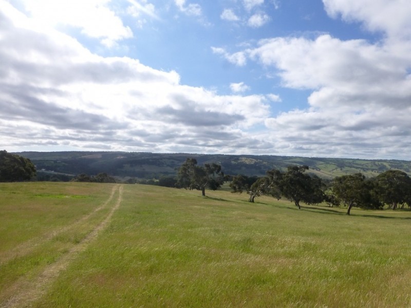 Lots 3, 4 Bull Creek Road, Ashbourne SA 5157