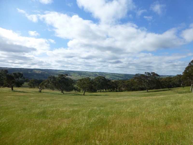 Lots 3, 4 Bull Creek Road, Ashbourne SA 5157
