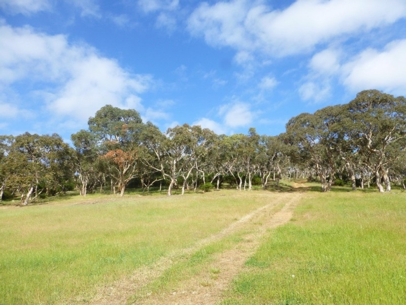 Lots 3, 4 Bull Creek Road, Ashbourne SA 5157