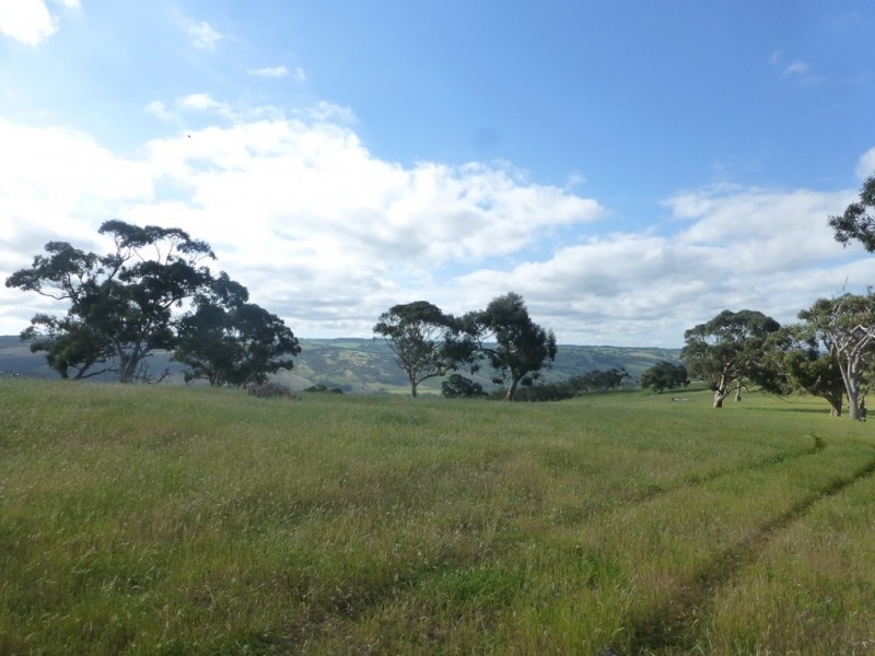 Lots 3, 4 Bull Creek Road, Ashbourne SA 5157
