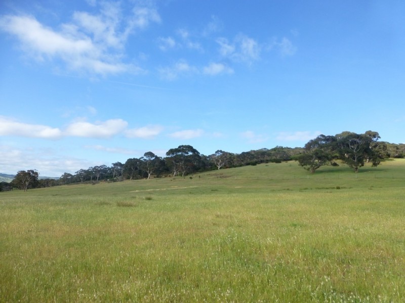 Lots 3, 4 Bull Creek Road, Ashbourne SA 5157