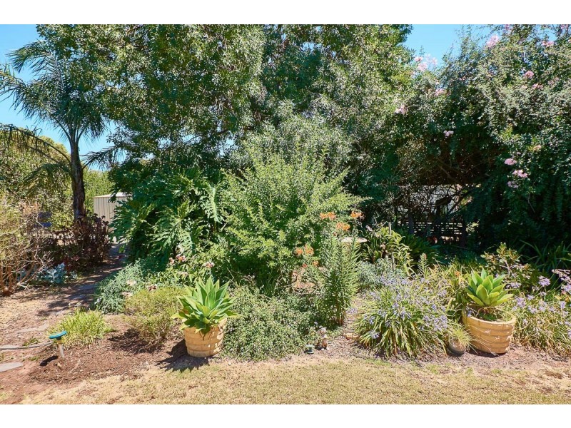 6 Love Avenue, Strathalbyn SA 5255