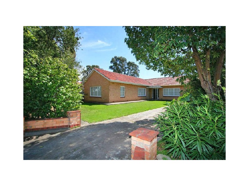 61 Delaine Avenue, Edwardstown SA 5039