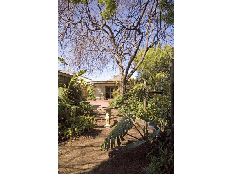 5 Burwash Road, Marryatville SA 5068