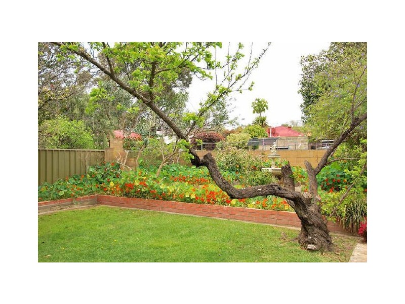 7 Cowper Road, Black Forest SA 5035