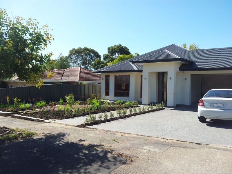 20 Haig Street, Netherby SA 5062