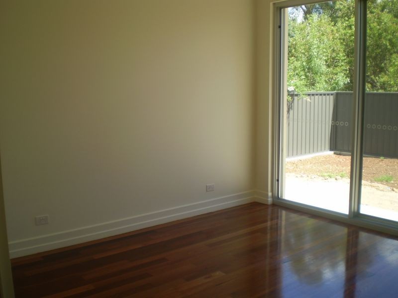 20 Haig Street, Netherby SA 5062