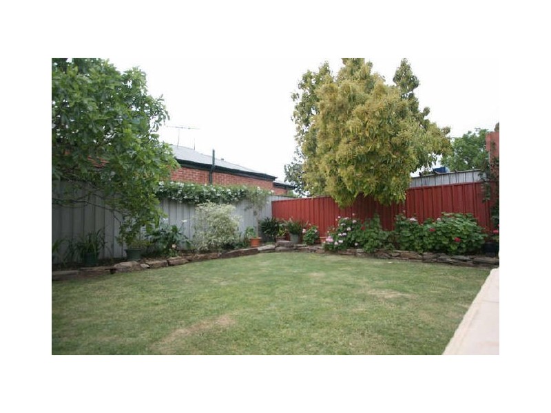 36 Olive Street, Parkside SA 5063