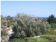 126 Murray Road, Port Noarlunga SA 5167