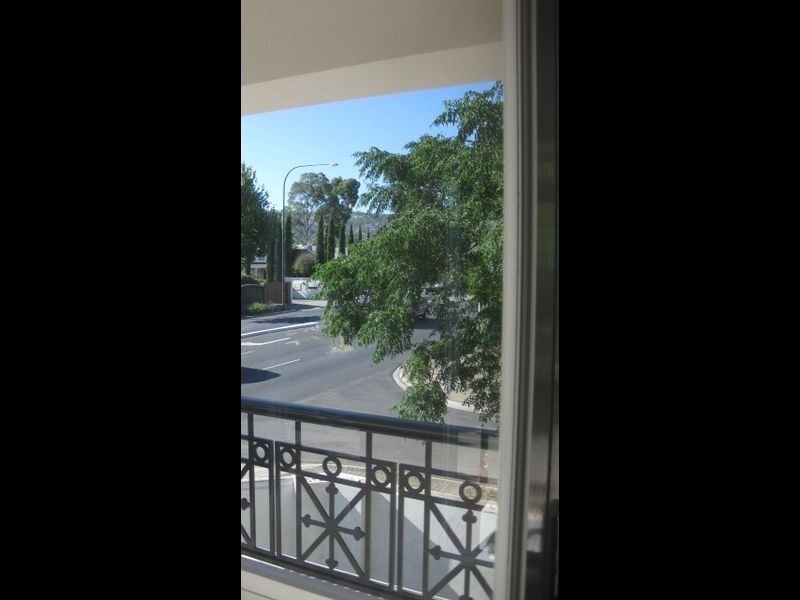 19 Martindale Avenue, Toorak Gardens SA 5065