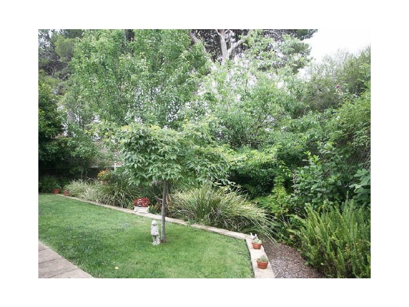 29 Olde Coach Road, Urrbrae SA 5064