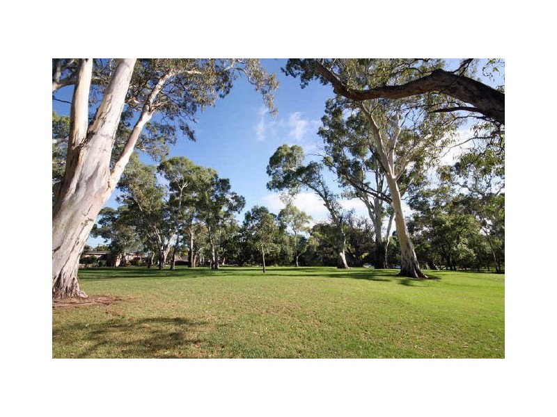 516 Greenhill Road, Hazelwood Park SA 5066