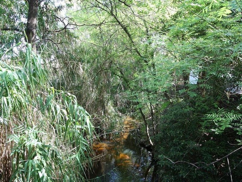 2a Victoria Avenue, Unley Park SA 5061