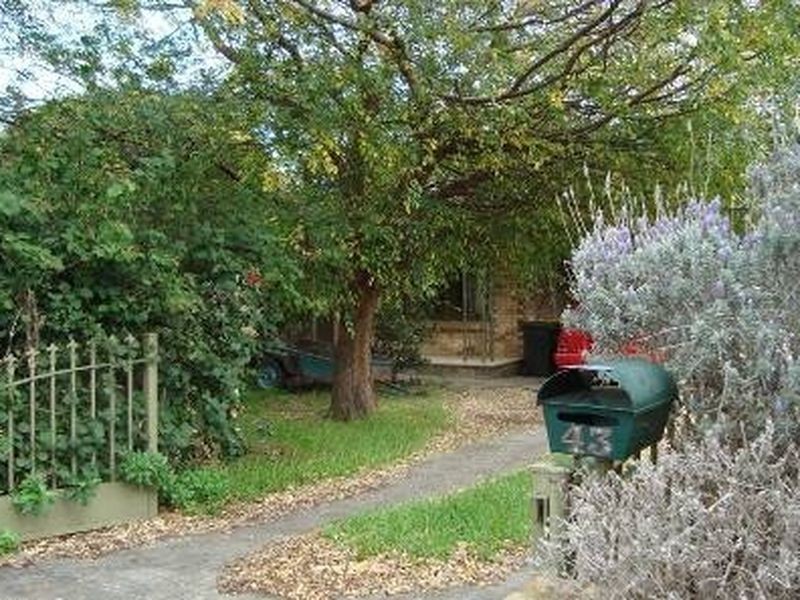 43 Catherine St, Lower Mitcham SA 5062